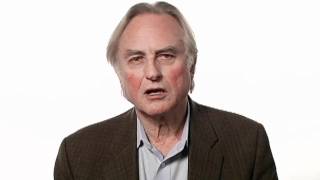 Richard Dawkins Faith  Big Think [upl. by Dnob857]