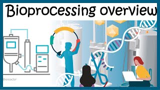 Bioprocessing overview Upstream and downstream process [upl. by Sredna]