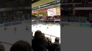 Teddy Bear Toss 2019 KAC [upl. by Valorie569]