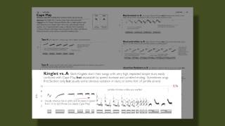 The Warbler Guide  Vocalizations [upl. by Giguere]