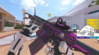 Favorite collection skin  Ironsight Gameplay [upl. by Ainorev]