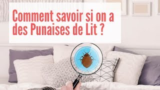 Comment Savoir si on a des Punaises de Lit  Comment Détecter les Punaises de Lit [upl. by Levinson]