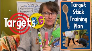 Susan Garretts Target Stick Training Part Two  Step by Step Plan [upl. by Wakefield155]