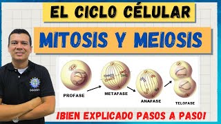 EL CICLO CELULAR MITOSIS Y MEIOSIS MARAVILLOSO BIEN EXPLICADO [upl. by Ingelbert]