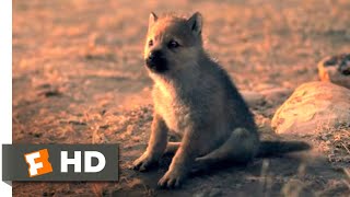 Alpha 2018  Wolf Puppies Scene 1010  Movieclips [upl. by Ogires]