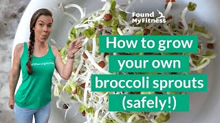 How to Grow Broccoli Sprouts [upl. by Charita823]