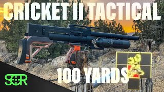 KalibrGun Cricket 2 Tactical REVIEW  22 CALIBER with INSANE ACCURACY [upl. by Rehpotsrihc]