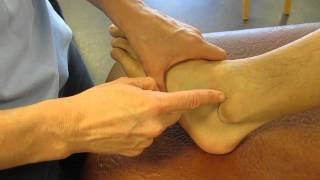 Lateral Malleolus Fibula Ankle Palpation [upl. by Pelletier]