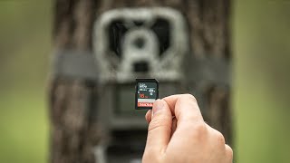 Avoid These 5 SD Card Trail Camera Mistakes [upl. by Attennyl]