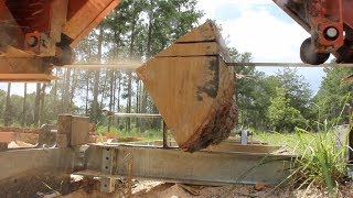 Quarter Sawing Oak the PROPER way [upl. by Eralcyram]