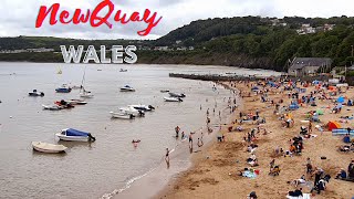 New Quay Wales New Quay Harbour Town Centre New Quay  Newquay beach [upl. by Ahsilat]