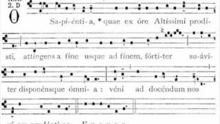 Antifona O Sapientia  gregorian antiphon [upl. by Irisa]