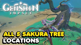 All 5 Sakura Tree Locations In Genshin Impact Sakura Arborism World Quest Guide [upl. by Ping]