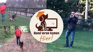 Hond leren komen op commando [upl. by Ahsotal]