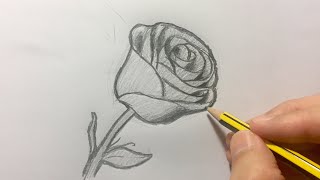 Cómo dibujar una rosa paso a paso [upl. by Gaile38]