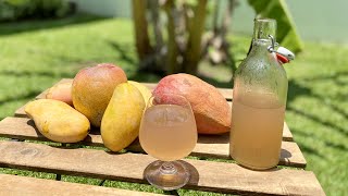 MANGO WINE how to make at home  Healthy Homemade Wine without Yeast  Easy recipe for beginners [upl. by Ina]