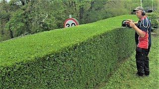 How To Trim A Hedge Level [upl. by Ebehp]