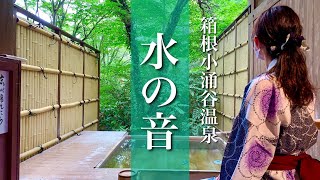 【箱根の宿】共立リゾート「水の音」宿泊レビュー [upl. by Yrrehc]