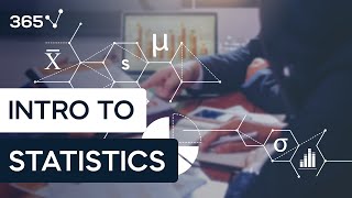 Introduction to Statistics  365 Data Science Courses [upl. by Niu]