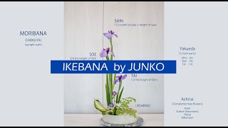 Ikebana Lessons Episode 1  Moribana Chokutai [upl. by Rafaj778]