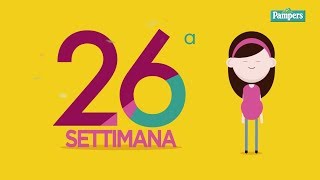 26° settimana di gravidanza [upl. by Esina]