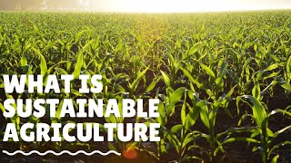 What is Sustainable Agriculture And How We Practice It [upl. by Ynneg]