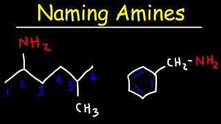 Naming Amines  IUPAC Nomenclature amp Common Names [upl. by Nnazil]