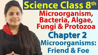 Microorganism Bacteria Algae Fungi amp Protozoa  Chapter 2  Microorganisms Friend and Foe CBSE [upl. by Senecal76]