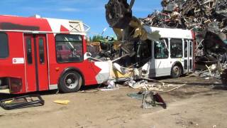 Ex OC Transpo Orion VI at the scrapyard [upl. by Leontina428]