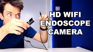 WIFI ENDOSCOPE CAMERA REVIEW [upl. by Demmahum]