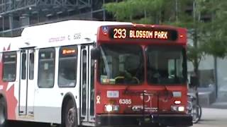 OC Transpo Buses  Downtown Ottawa [upl. by Kowal498]