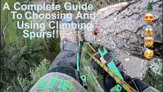 EVERYTHING You Need To Know About Tree Climbing Spurs A Complete Guide to Choosing and Using Spurs [upl. by Nivrad295]