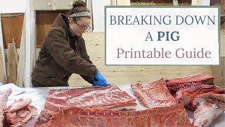 How To Butcher A Pig  Entire Breakdown PRINTABLE GUIDE [upl. by Gustave]