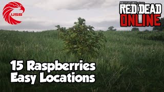 Raspberries Locations rdr2 Online  Red Dead Online Raspberries Location Guide [upl. by Eehtomit]