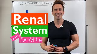 Renal System  Overview [upl. by Tirrell]