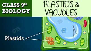 The fundamental unit of life  Part8  CBSE class 9th BIOLOGY  CHAPTER1  NCERT CLASS 9 [upl. by Scully]