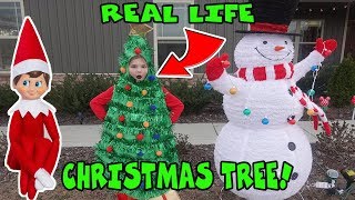 Real Life Christmas Tree For 24 Hours Elf On The Shelf Challenge [upl. by Noit]