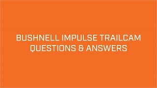 Bushnell Impulse Trail Camera Setup amp FAQs [upl. by Babita]