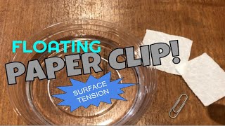 Floating Paper Clip Surface tension Experiment [upl. by Mignon]