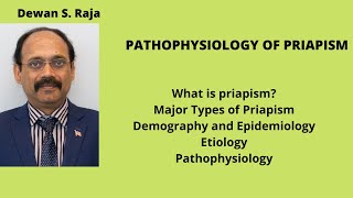 PATHOPHYSIOLOGY OF PRIAPISM [upl. by Ghassan]