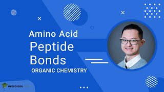 Peptide Bonds of Amino Acids [upl. by Akirdna610]