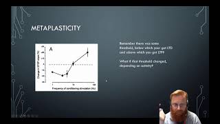 Neural Plasticity 8  Metaplasticity [upl. by Efinnej444]