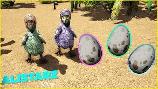 ARK SURVIVAL DODO GUIDE  Taming Mating amp Eggs [upl. by Hung]