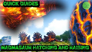 How To Steal Hatch And Raise Magmasaur Eggs  Ark Quick Guides  2021  Tips And Tricks [upl. by Ivah]