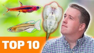 Top 10 Nano Fish for Freshwater Aquariums [upl. by Koloski]