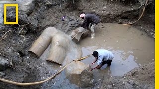 Updated Giant Egyptian Statue Likely Not Ramses II  National Geographic [upl. by Nnairrek]