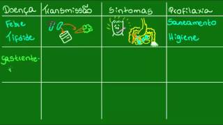 Febre tifoide gastrenterite e salmonelose  Parasitologia  Biologia [upl. by Abigail]