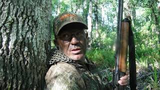 Turkey Hunting Floridas Richloam WMA Gators Snakes and Gobblers [upl. by Wadesworth757]