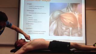 Pectoralis Major Palpation Manual Therapy and Stretch [upl. by Ardith]