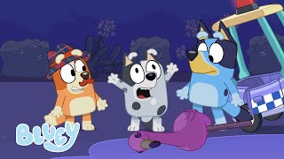 Season 1 Full Episodes  Bluey [upl. by Hteazile256]